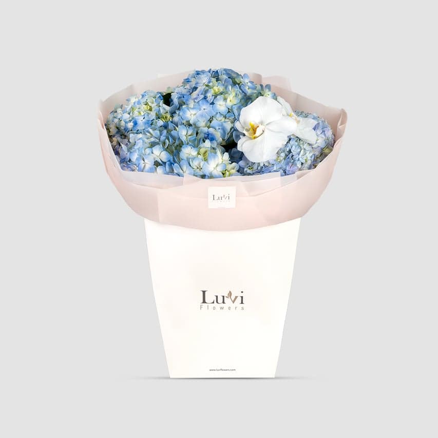 باقة هيدرنجيا المحيط معروضة بهدوء في حقيبة هدايا زرقاء كالمحيط من لوفي فلاورز
