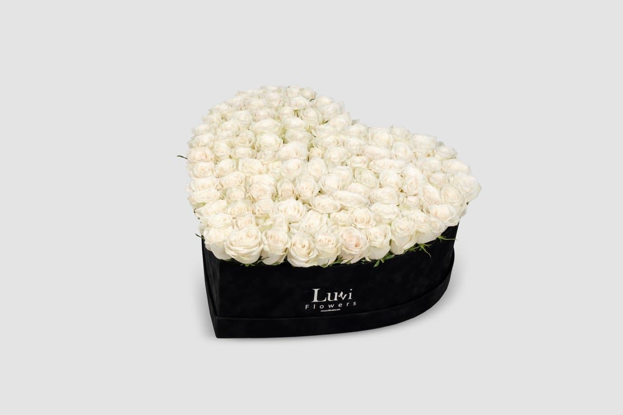 تنسيق القلب الأبيض النقي متوسط الحجم مع 90-100 وردة بيضاء