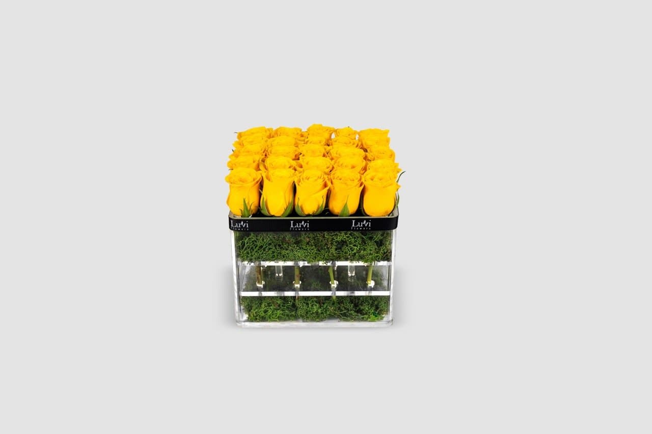 Small Cheery Yellow in Quadrate Box arrangement with yellow roses	