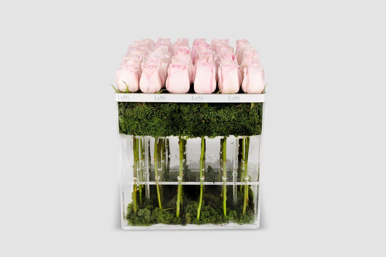 تنسيق الوردي الحلو الكبير في صندوق مربع مع ورود سويت ريفايفل