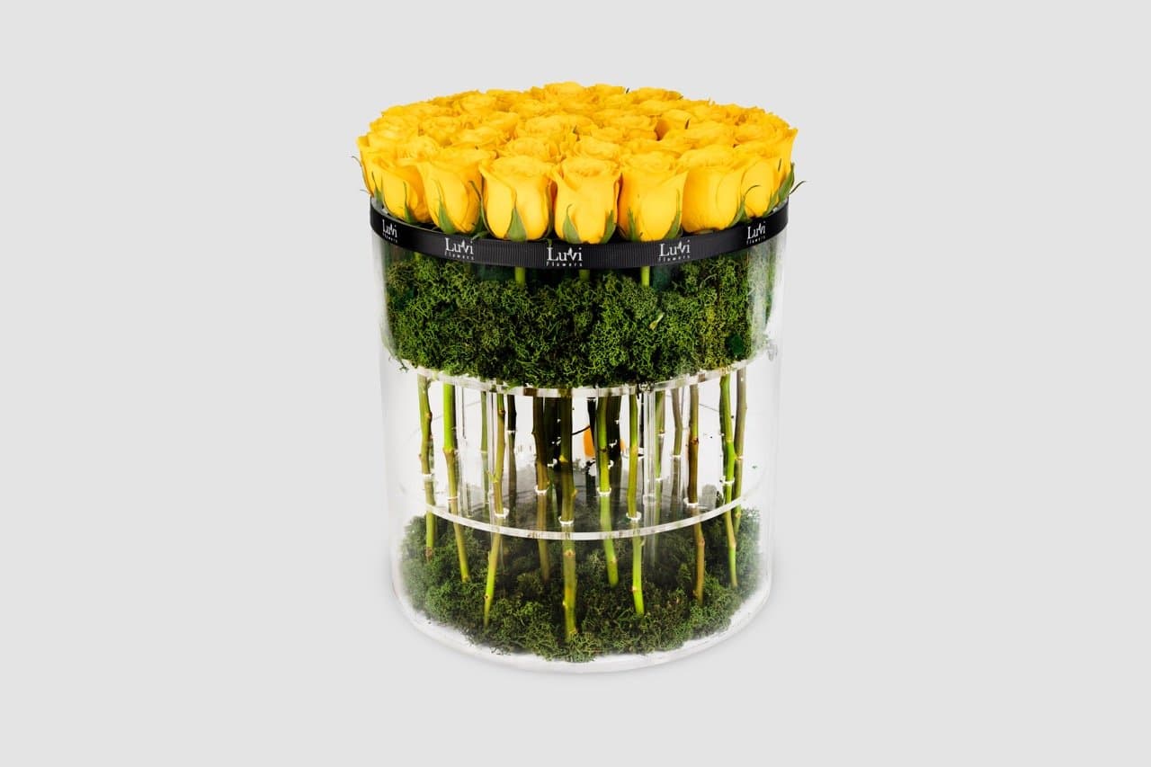 تنسيق الأصفر المبهج الكبير في صندوق أسطواني مع ورود صفراء