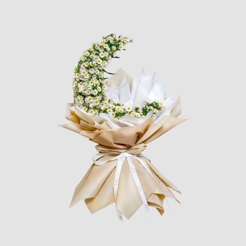 تنسيق بركة القمر مع أزهار الأستر البيضاء.