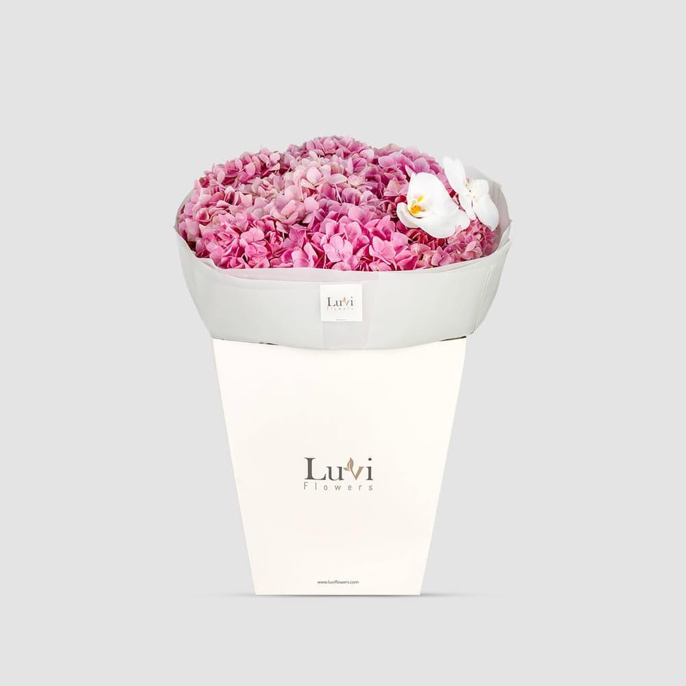 Blush Hydrangea bouquet romantically presented in a Luviflowers pink-tinted gift bag	 thumbnail