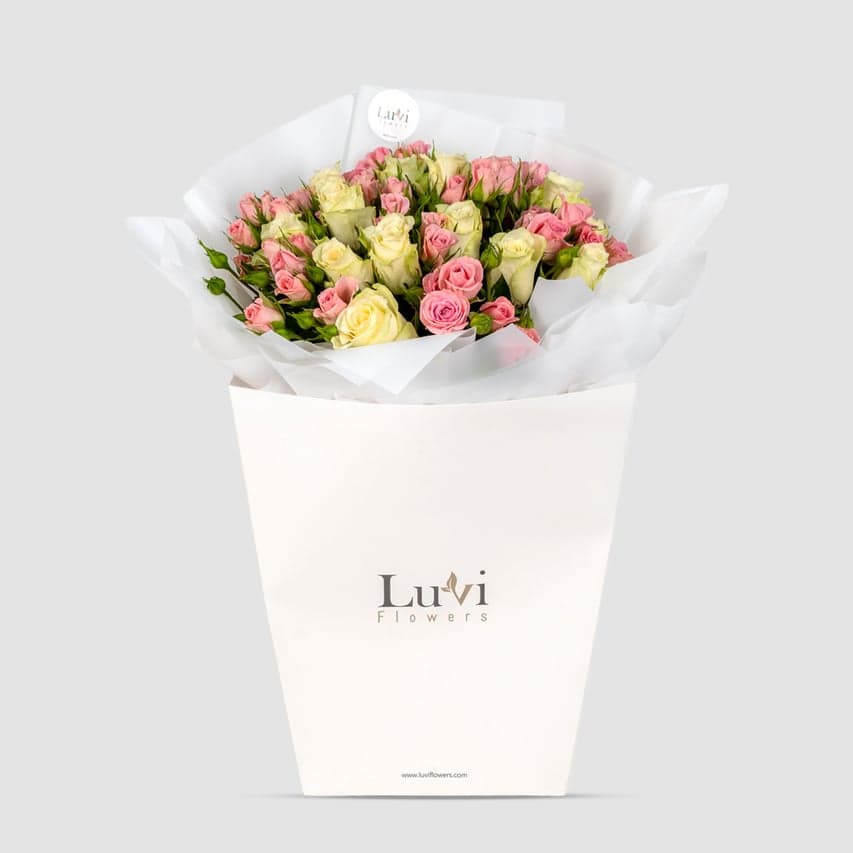 باقة بلاش بيل بورود وردية وبيضاء.