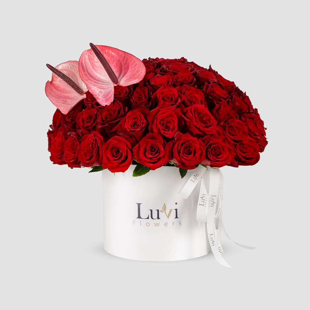 ترتيب صندوق "قوس الحب" كبير الحجم مع الورود الحمراء والأنثوريوم الوردي.