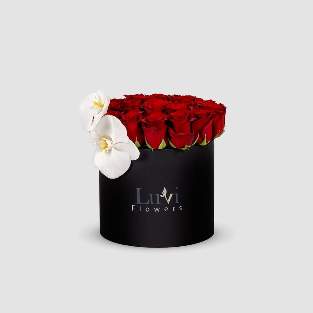 Small Beloved box arrangement with red roses and white Phalaenopsis orchids.  thumbnail