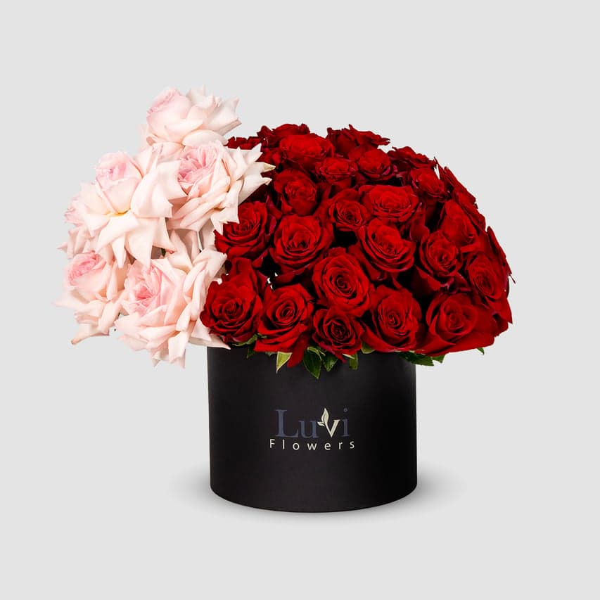 Medium Pink Promises box arrangement with red and O'Hara pink roses.