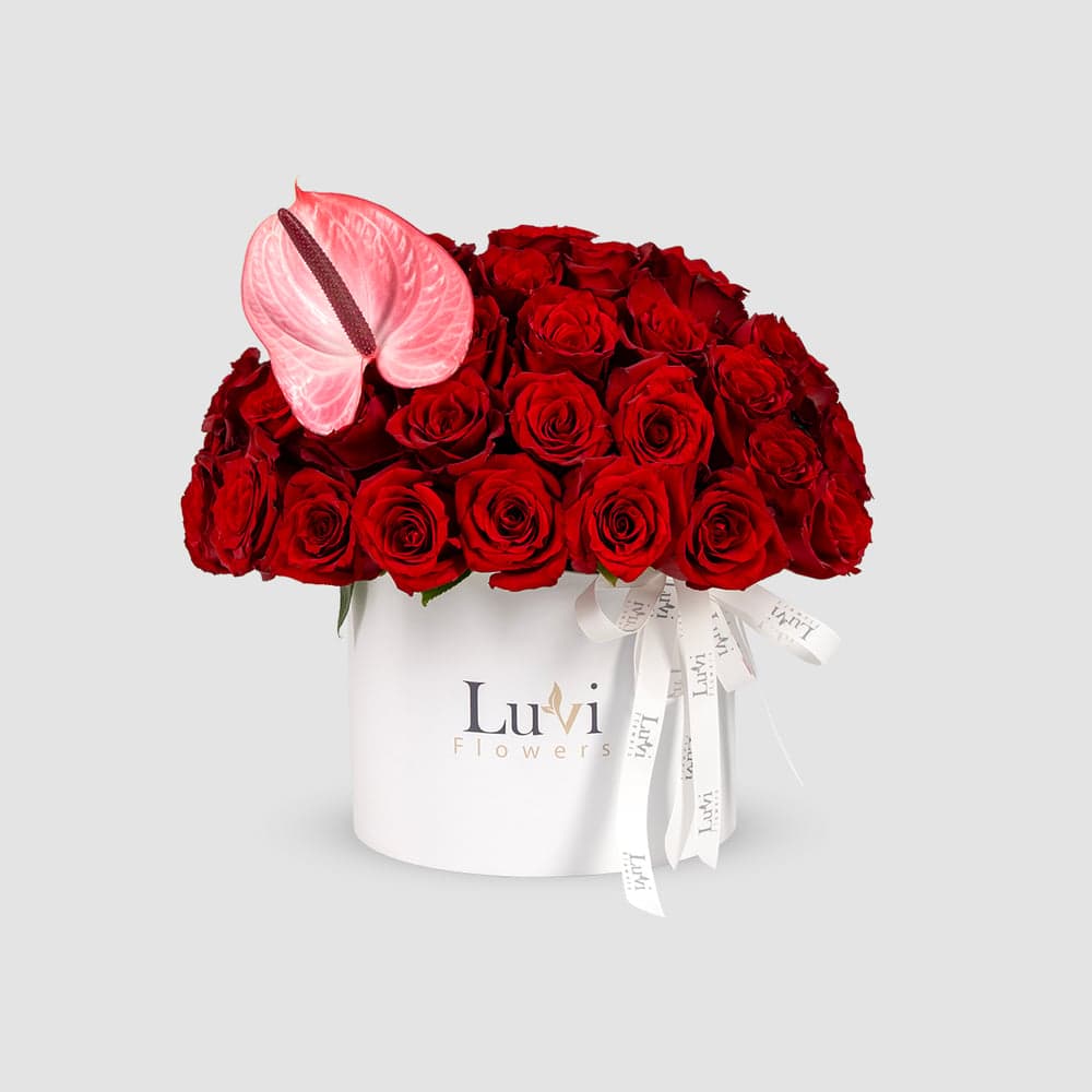  ترتيب صندوق "قوس الحب" متوسط الحجم مع الورود الحمراء والأنثوريوم الوردي.